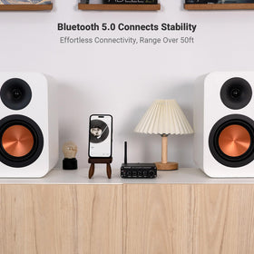 Fosi Audio BT30D with subwoofer connection showcases enhanced low-end options