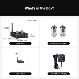 5654W vacuum tubes on P3 highlight premium components