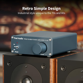Fosi Audio V1.0G rear panel with RCA and speaker terminals for versatile connectivity