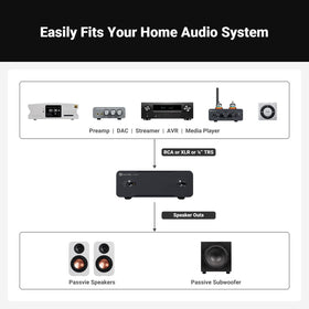 RCA inputs area with gain options for easy integration.