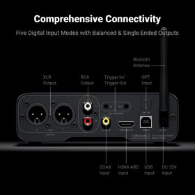 Fosi Audio ZD3 RCA output provides versatile, simple analog connectivity.