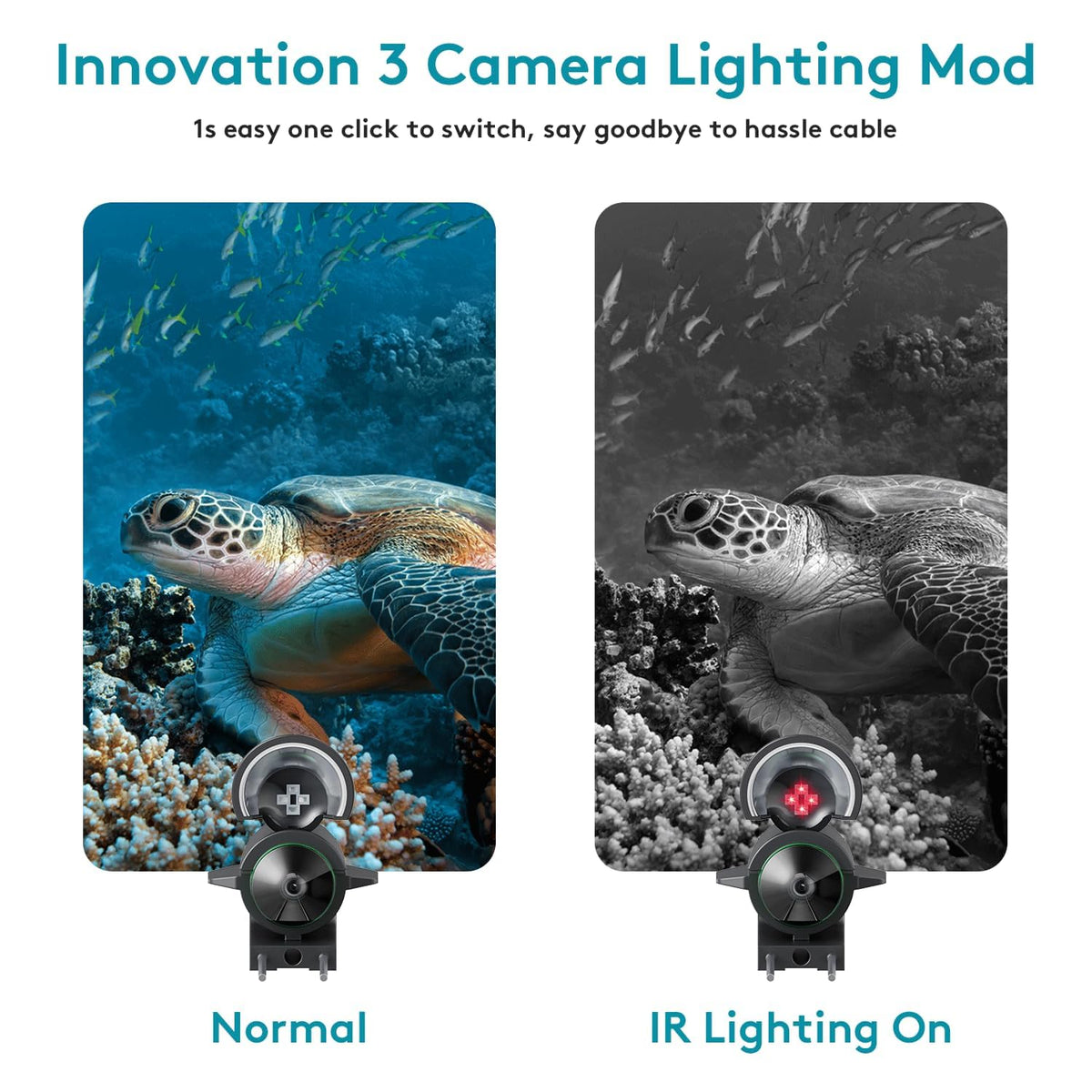 fourq camera mounted beside ice hole demonstrating secure attachment and stable viewing benefit