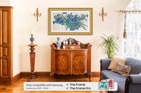 Frame My TV Ornate Gold 65-inch frame side view complements home decor.