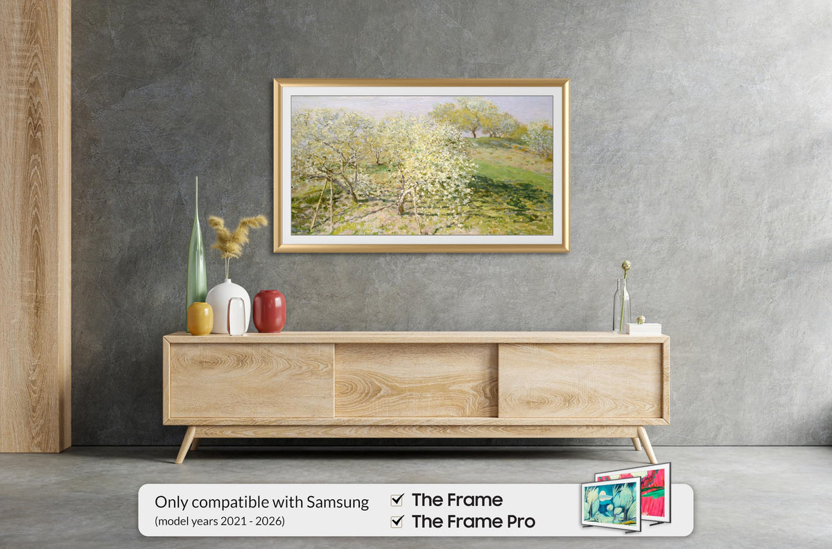Frame My TV Pale Gold Prismatic 43-inch Deco Frame brushed aluminum finish adds elegance.