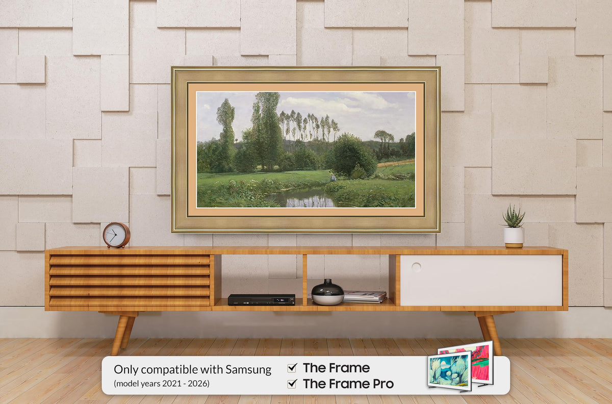 Frame My TV Champagne 65 Premiere Deco Frame back view shows slim profile.