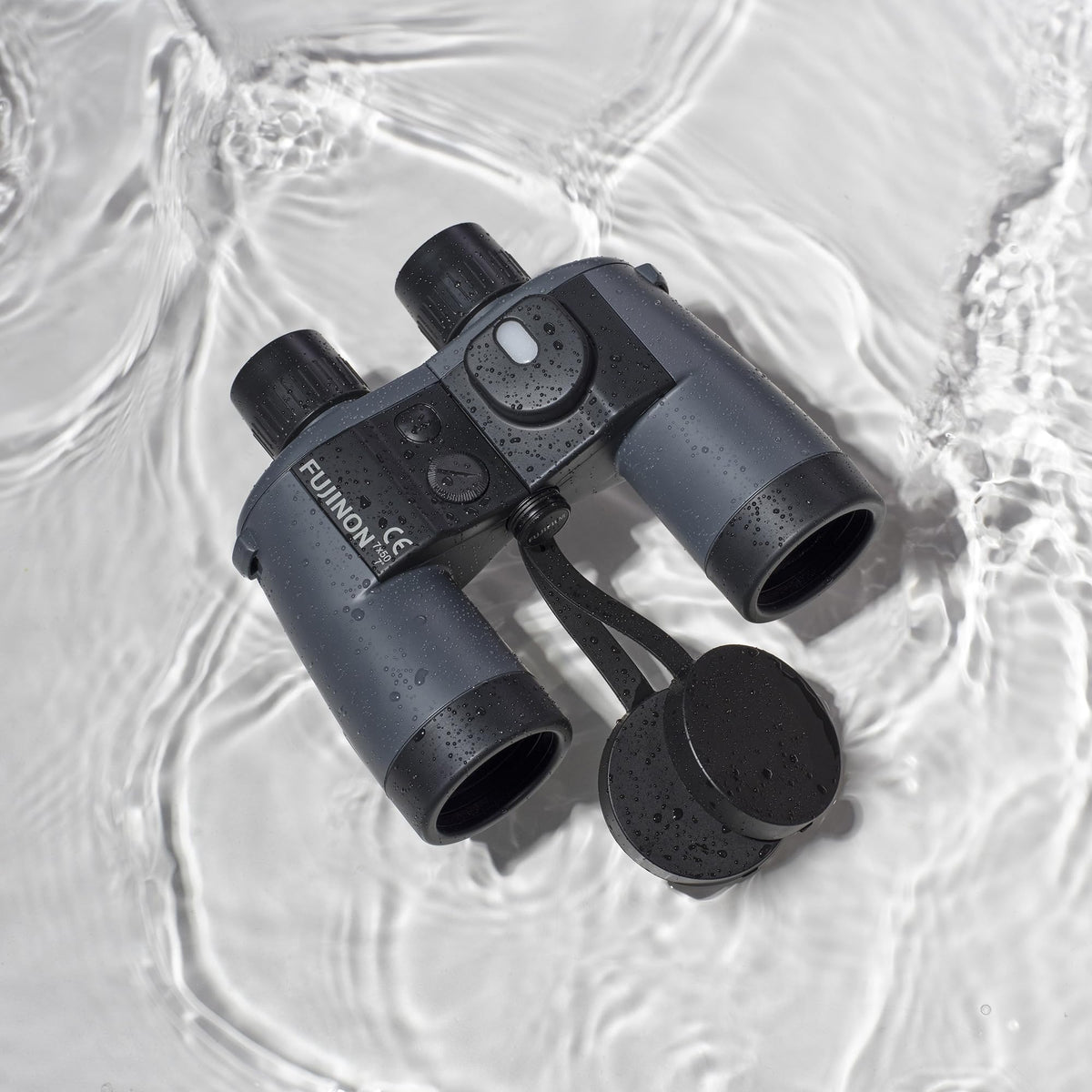 World compass display aids navigation through left eyepiece