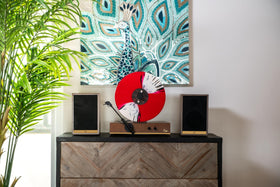 AT3600L cartridge on the Fuse GLD offers clear, faithful vinyl reproduction.