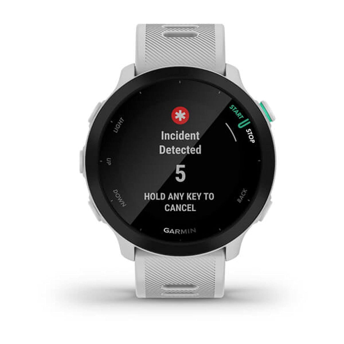 Garmin Forerunner 55 Connect IQ store lets you customize watch faces and widgets.