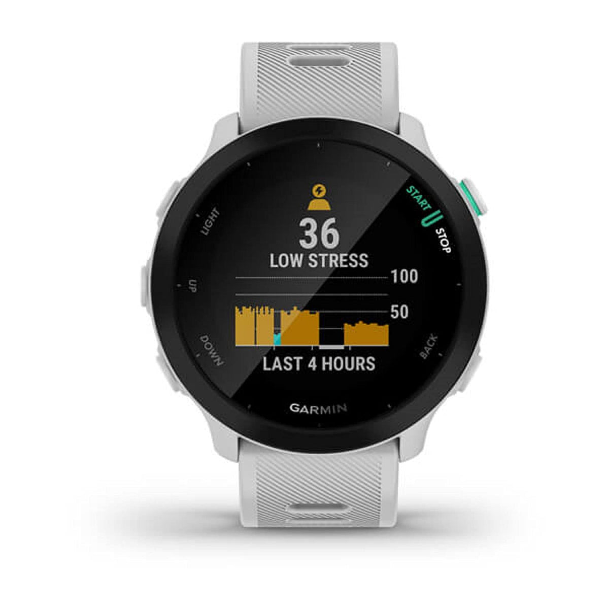 Garmin Forerunner 55 wellness features track intensity and recovery at a glance.