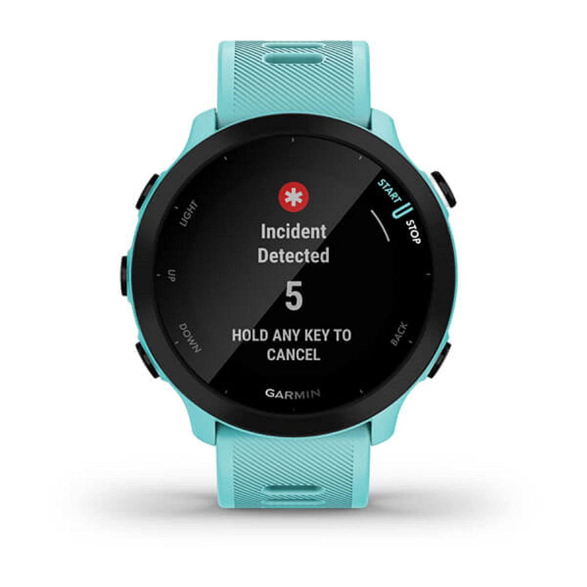 Garmin Forerunner 55 wellness metrics for balanced training