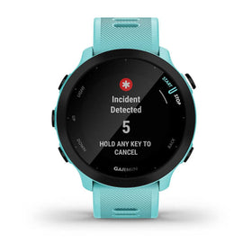 Garmin Forerunner 55 wellness metrics for balanced training