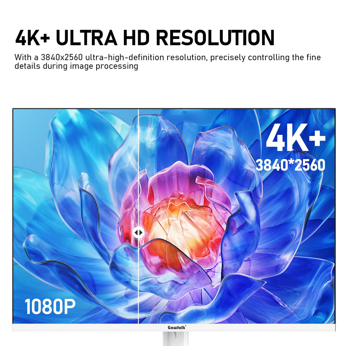Gawfolk IPS panel color demo for accurate photo editing and video work.