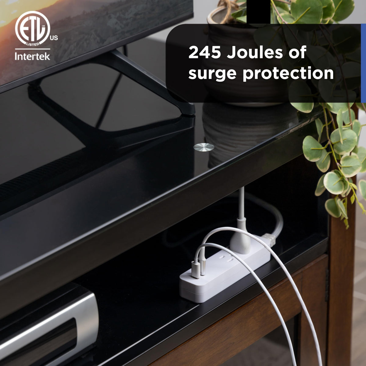 GE ETL safety certified surge protector with limited-lifetime replacement.