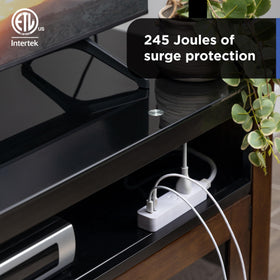 GE ETL safety certified surge protector with limited-lifetime replacement.
