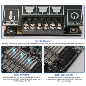 Generic 100W subwoofer output connection showcases bass potential for DIY builds.