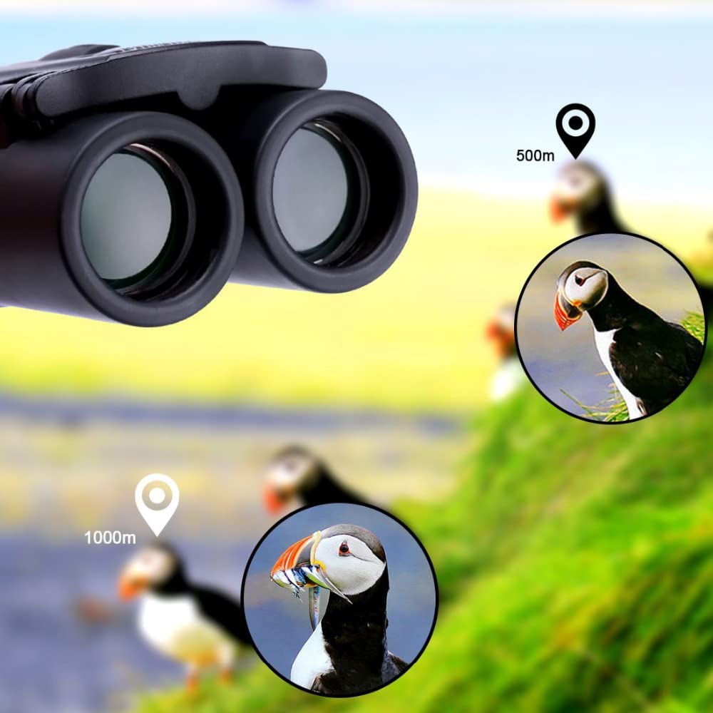 Generic binoculars weighing 180 g for lightweight hiking use.