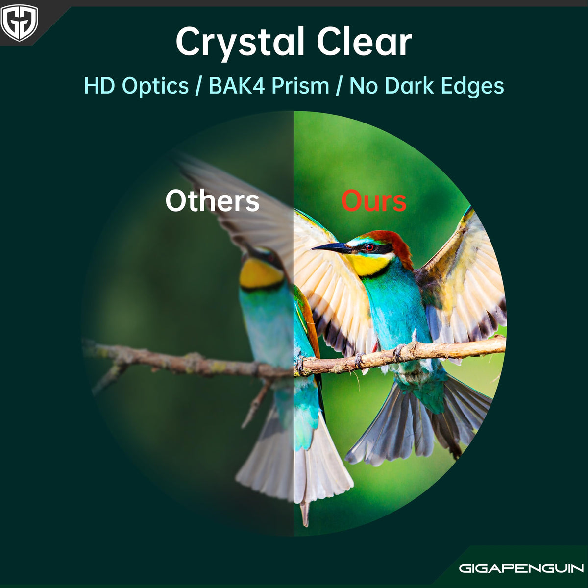 GIGAPENGUIN 22mm large eyepiece binoculars deliver clearer detail with a wider field.