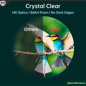 GIGAPENGUIN 22mm large eyepiece binoculars deliver clearer detail with a wider field.
