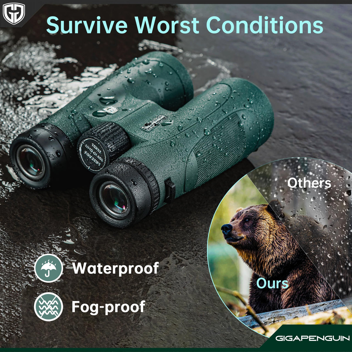 GIGAPENGUIN high-contrast true-to-life binoculars enhance birding color fidelity.