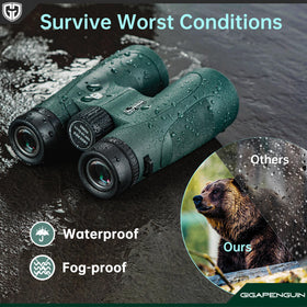 GIGAPENGUIN high-contrast true-to-life binoculars enhance birding color fidelity.