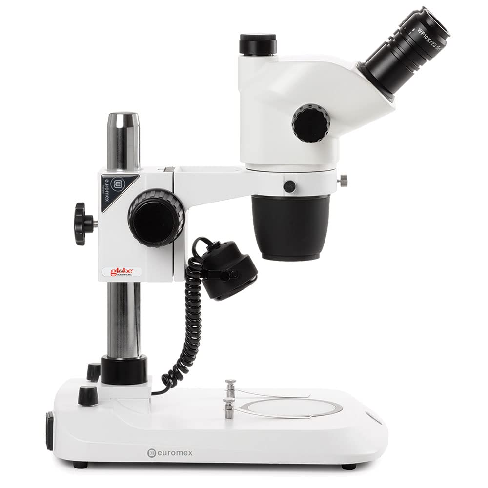 NexiusZoom EVO dual 3W LED illumination provides bright, even lighting for detailed sample inspection.