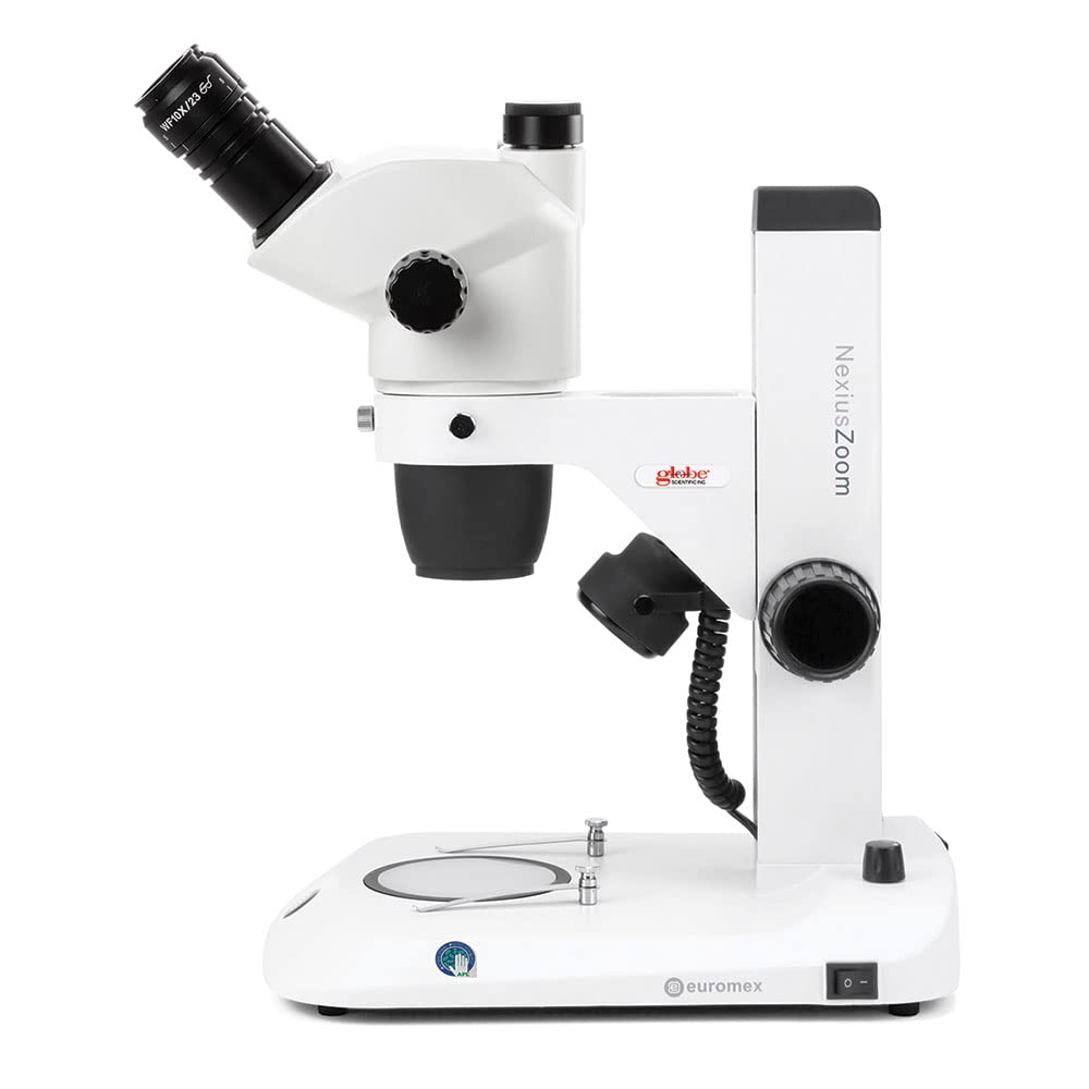 Globe Scientific NexiusZoom EVO with dual 3W LED lights for surface detail enhancement.