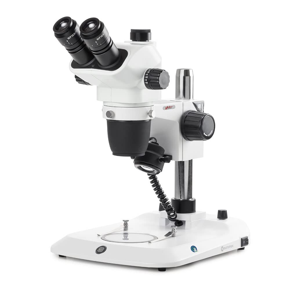 Globe Scientific NexiusZoom EVO trinocular head enables comfortable viewing and precise observation.
