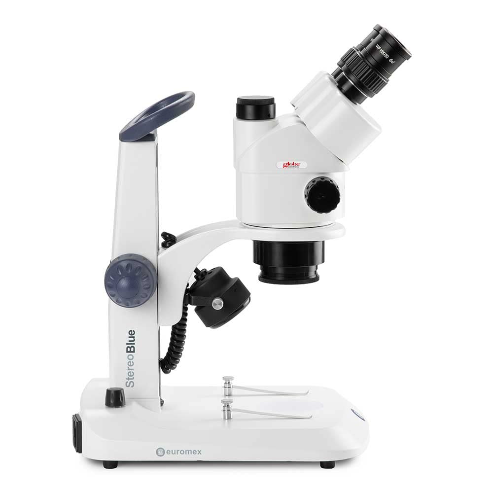 Globe Scientific StereoBlue ergonomic stand supports comfortable posture during extended use.