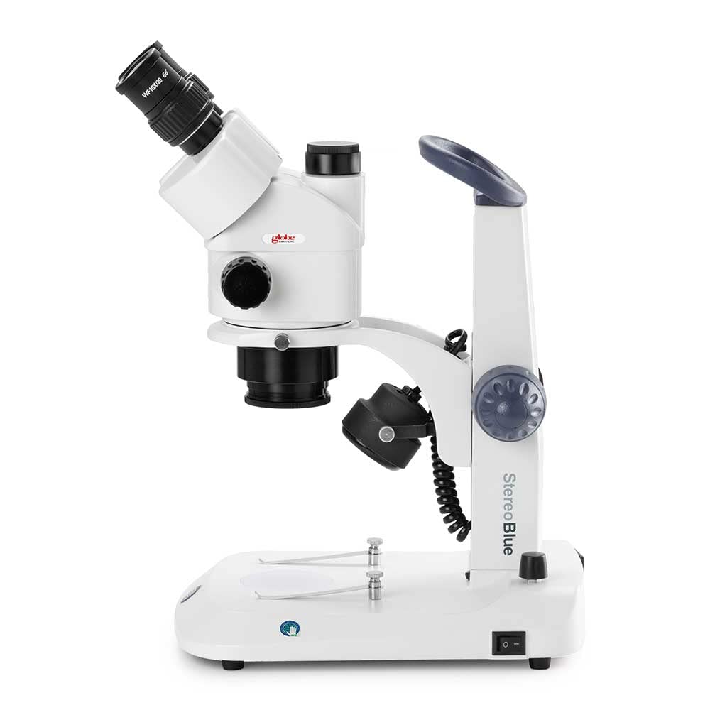 Globe Scientific StereoBlue LED illumination delivers bright, adjustable lighting for detailed observation.