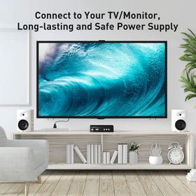 Goalfish IEC320 C13 to NEMA 5-15P connector for versatile power
