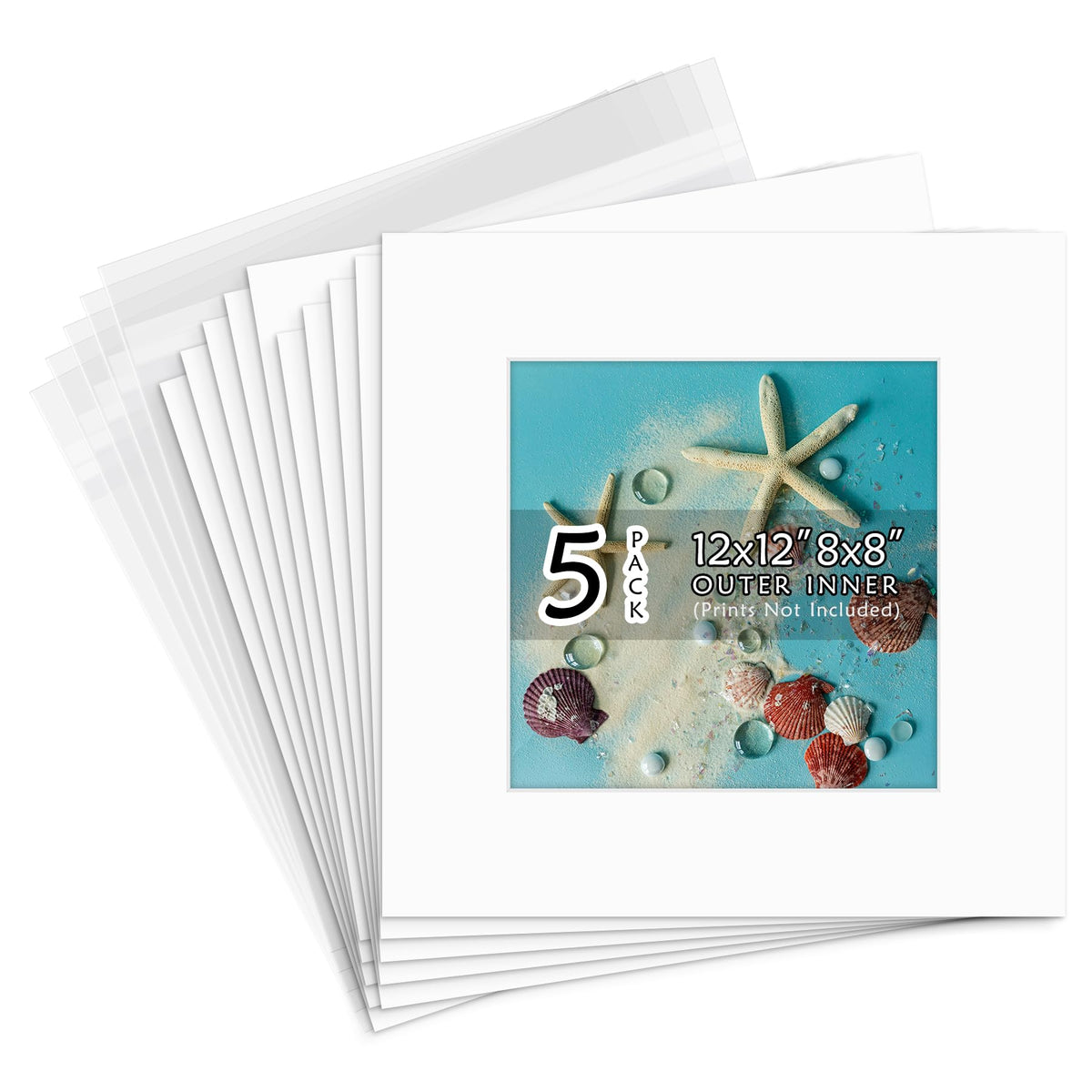 Golden State Art 12x12 white mat with beveled white core for crisp 8x8 photo display.