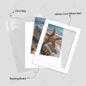 Golden State Art clear bag with resealable strip displayed for dust protection benefit