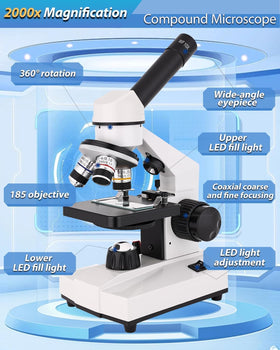 Goldstyle 2500x magnification enables detailed observation of tiny structures.