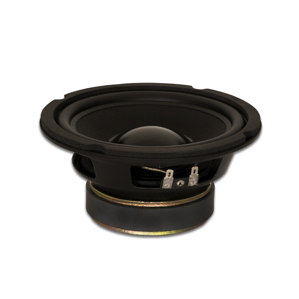 Goldwood Sound GW-6028 front view showing basket and cone, highlights reliable pro audio performance