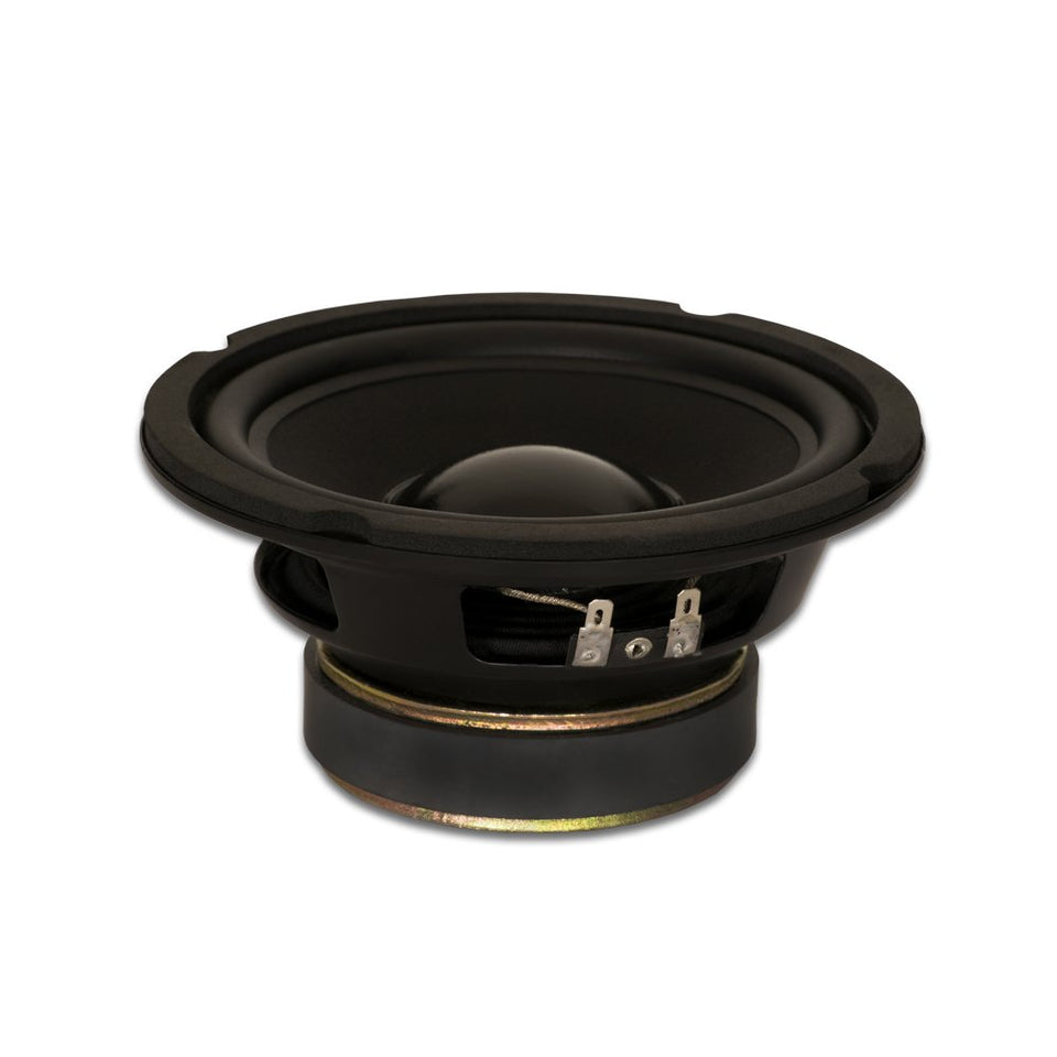 Goldwood Sound GW-6028 front view showing basket and cone, highlights reliable pro audio performance