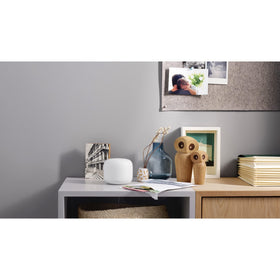 Google Nest Wifi Point voice control in action for device management.
