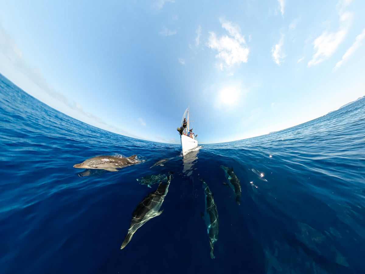 GoPro MAX 360 time warp delivers ultra-smooth motion