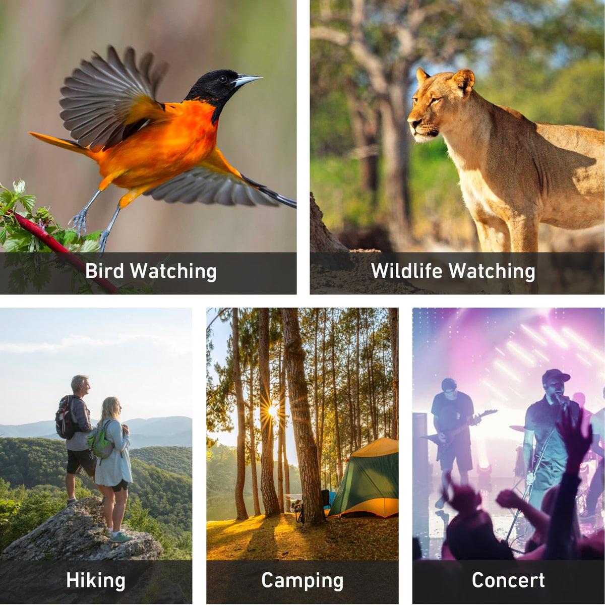 Gosky monocular in a bird-watching scenario for nature observing