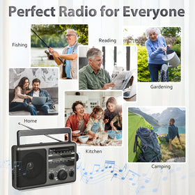 Greadio frequency scale and extended antenna for precise station tuning
