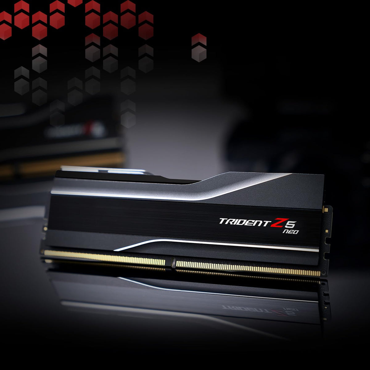 G.SKILL Trident Z5 Neo RAM module with AMD Expo profile badge