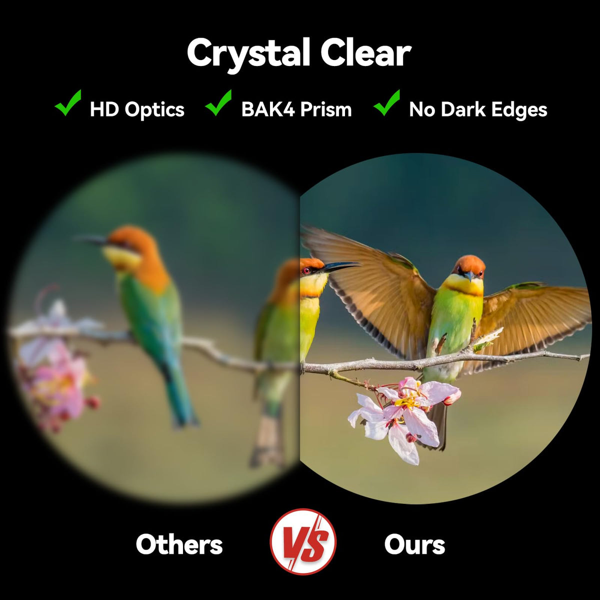 Gskyer eyepiece close-up displaying 22mm eyepiece for wider, more comfortable viewing
