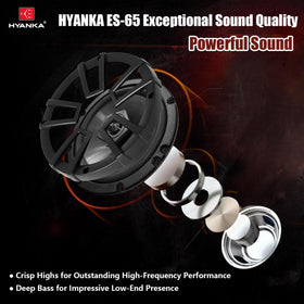 H YANKA ES-65 cone close-up highlighting durable cone and tighter bass