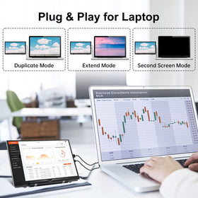 HAMTYSAN monitor connected to Raspberry Pi showing simple plug-and-play setup benefit