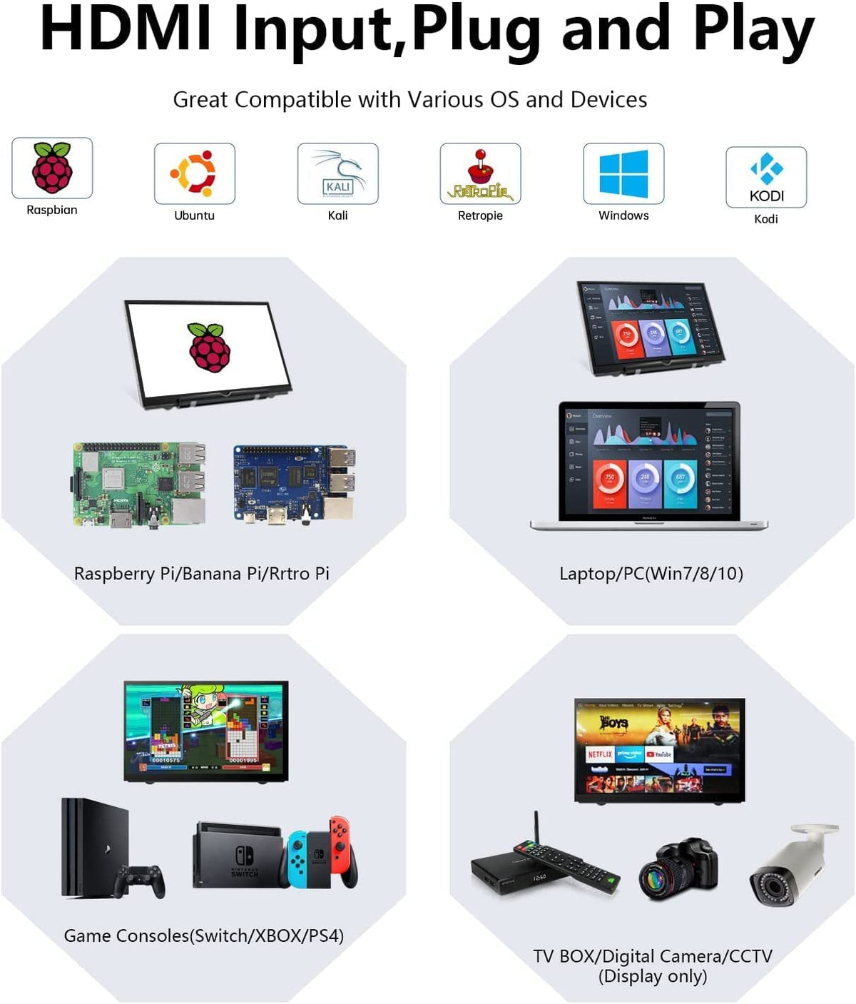 HAMTYSAN connected to Raspberry Pi illustrating fast setup and compatibility