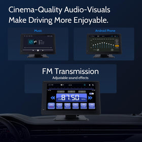 Haudio audio ports with AUX and FM transmitter for flexible sound output