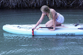 HawkEye DepthTrax 1H used on a kayak to scan depth and temperature