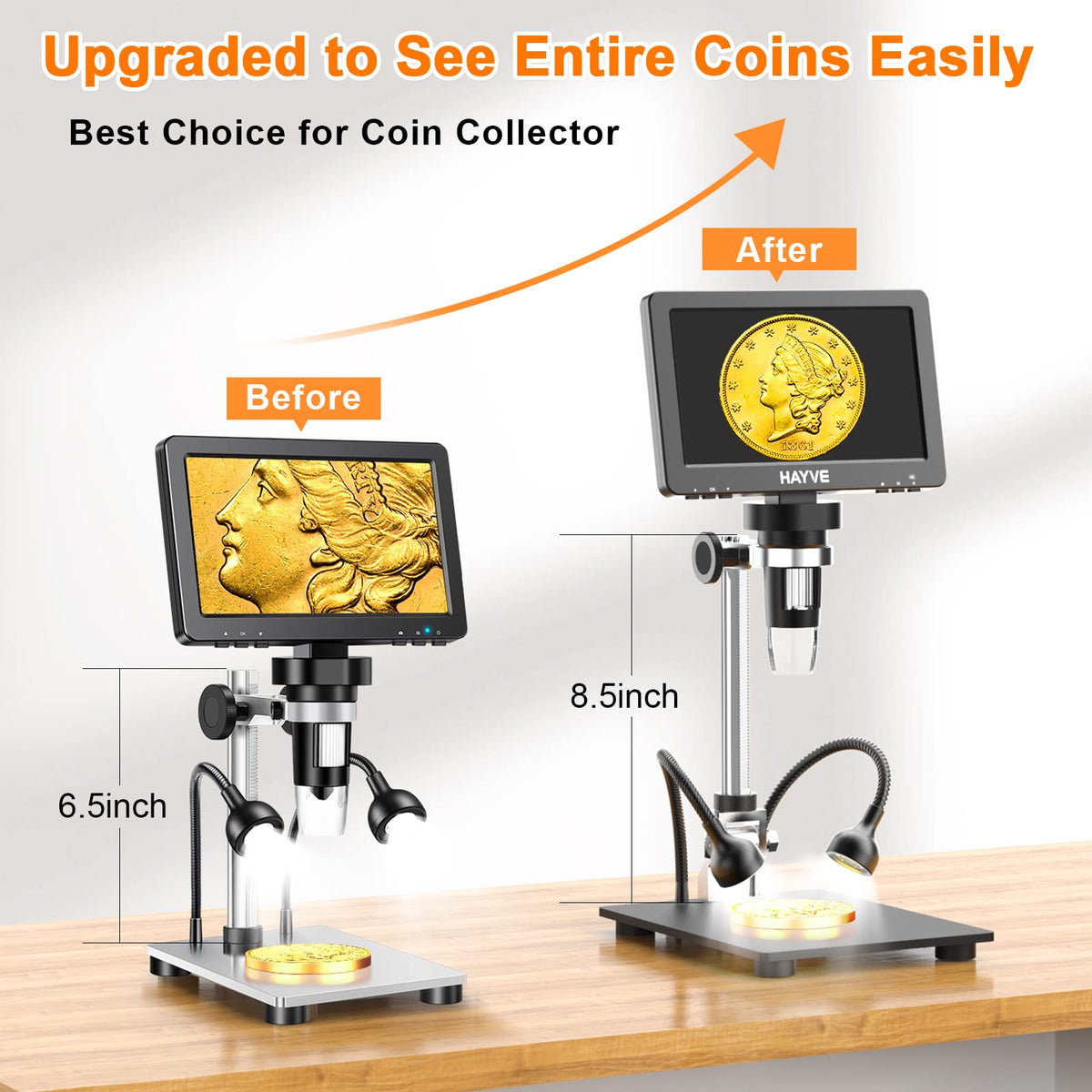 Hayve 8.5-inch stand displays entire coins without extensions