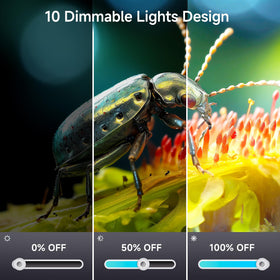 Hayve DM12 LED illumination with flexible light for micro subjects