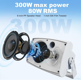 Herdio 8-Inch outdoor speaker tweeter delivering crisp highs for live events.
