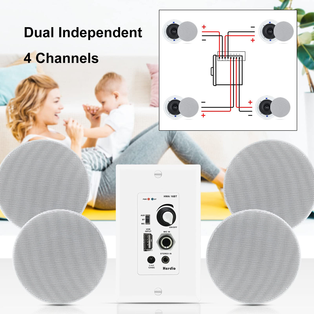 Herdio labeled microphone input and paging control close-up, clear paging capability benefit
